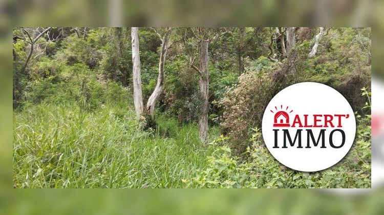 Ma-Cabane - Vente Terrain Dumbéa, 6000 m²