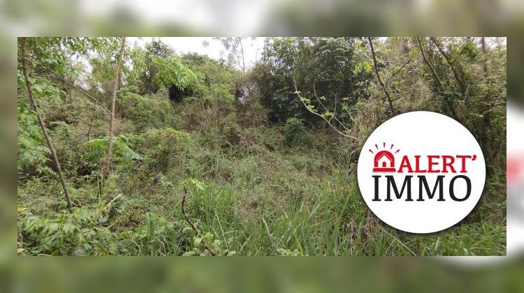 Ma-Cabane - Vente Terrain Dumbéa, 6000 m²