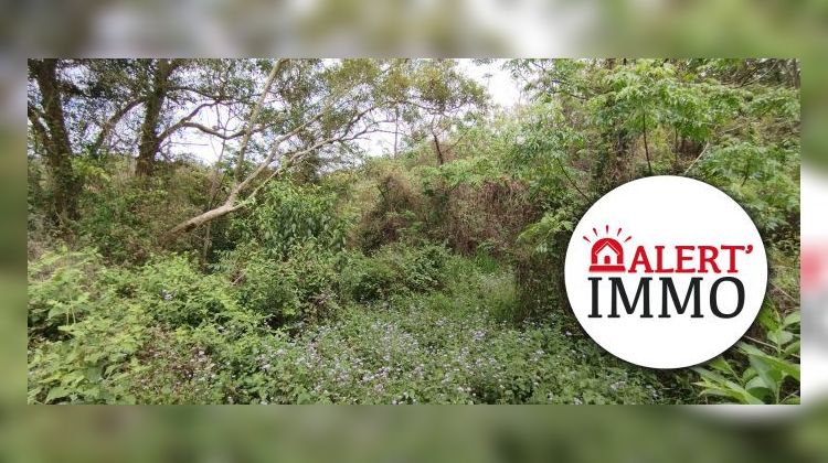 Ma-Cabane - Vente Terrain Dumbéa, 6000 m²