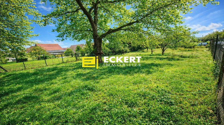Ma-Cabane - Vente Terrain Duppigheim, 710 m²