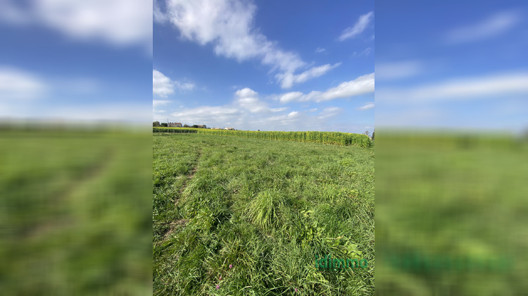 Ma-Cabane - Vente Terrain Eclassan, 987 m²