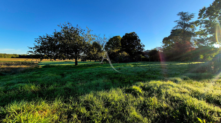 Ma-Cabane - Vente Terrain ECOYEUX, 3140 m²