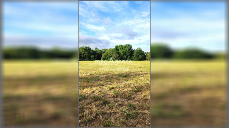 Ma-Cabane - Vente Terrain ECOYEUX, 6042 m²