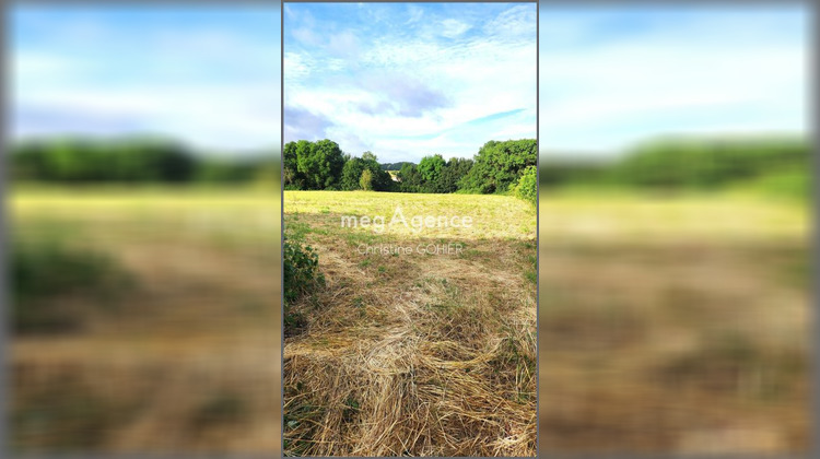 Ma-Cabane - Vente Terrain ECOYEUX, 6042 m²