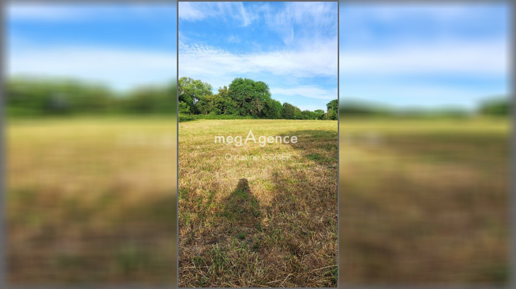 Ma-Cabane - Vente Terrain ECOYEUX, 0 m²