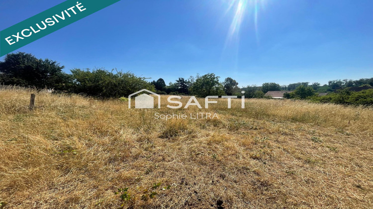 Ma-Cabane - Vente Terrain Egriselles-le-Bocage, 2160 m²