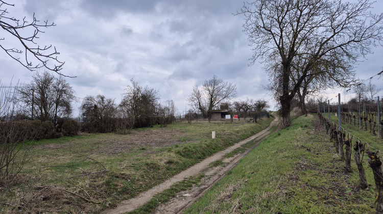 Ma-Cabane - Vente Terrain Eguisheim, 1094 m²