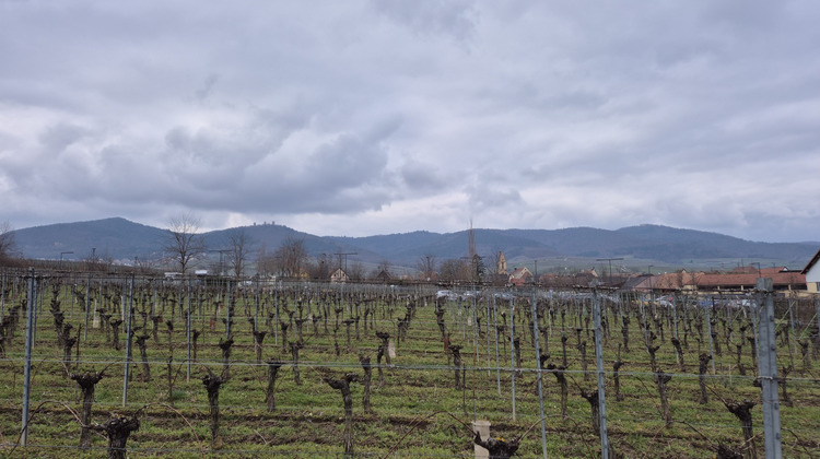 Ma-Cabane - Vente Terrain Eguisheim, 1094 m²