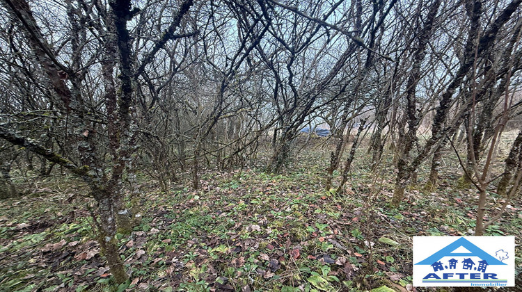 Ma-Cabane - Vente Terrain Einvaux, 1485 m²