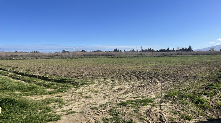 Ma-Cabane - Vente Terrain ELNE, 65685 m²