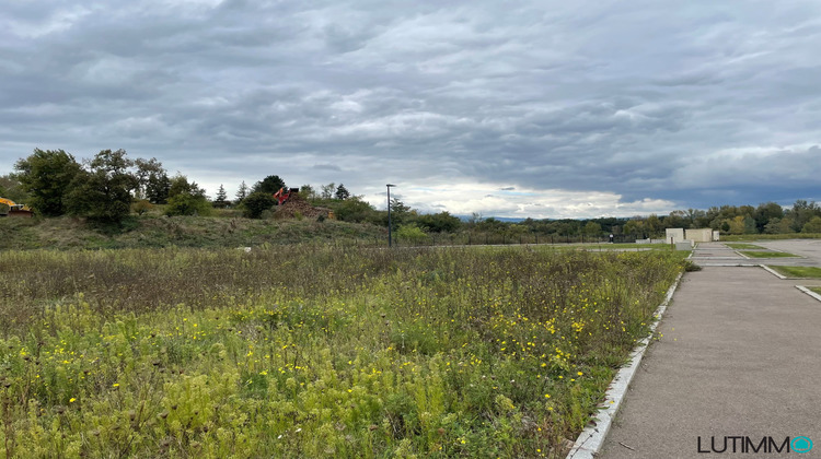 Ma-Cabane - Vente Terrain Ensisheim, 679 m²