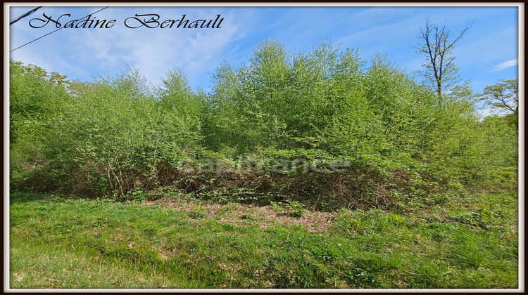 Ma-Cabane - Vente Terrain ERVAUVILLE, 3921 m²