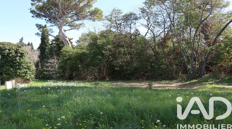 Ma-Cabane - Vente Terrain Escales, 668 m²