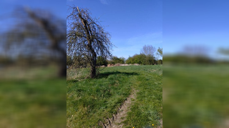 Ma-Cabane - Vente Terrain ESCARMAIN, 3260 m²