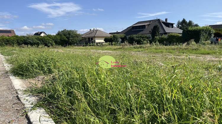 Ma-Cabane - Vente Terrain Eschau, 310 m²