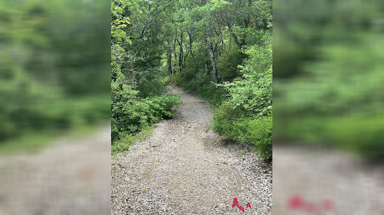 Ma-Cabane - Vente Terrain esparron, 2813 m²