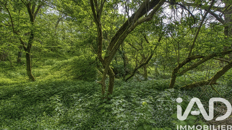 Ma-Cabane - Vente Terrain Estouy, 2024 m²