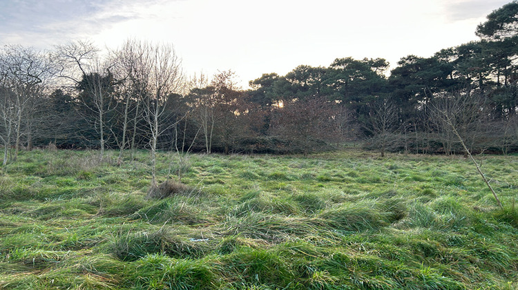 Ma-Cabane - Vente Terrain EYSINES, 3005 m²