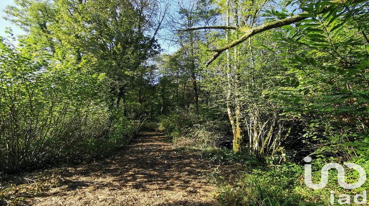 Ma-Cabane - Vente Terrain Eysus, 3045 m²