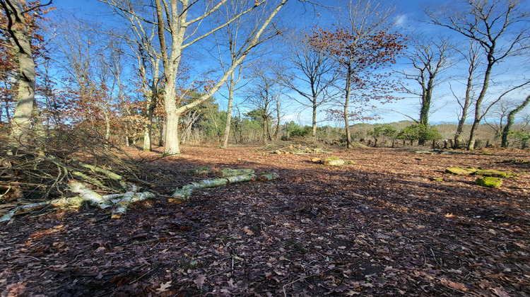 Ma-Cabane - Vente Terrain Fargues, 1600 m²