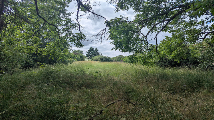 Ma-Cabane - Vente Terrain FAVEROLLES-SUR-CHER, 1766 m²