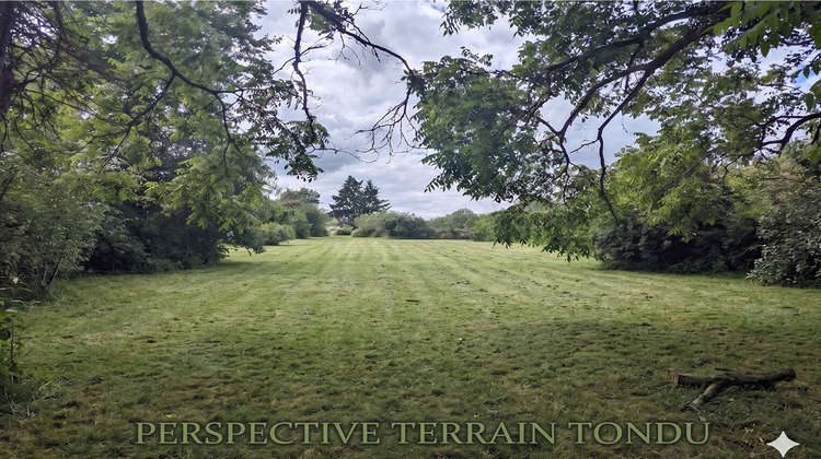 Ma-Cabane - Vente Terrain FAVEROLLES-SUR-CHER, 1766 m²