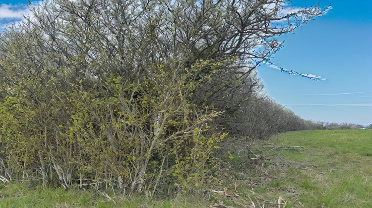 Ma-Cabane - Vente Terrain FAVIERES, 2409 m²