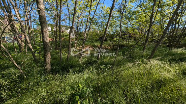 Ma-Cabane - Vente Terrain Félines, 1698 m²