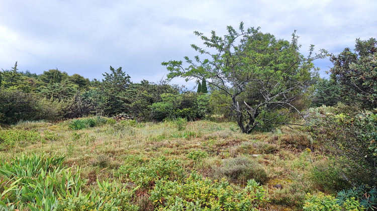 Ma-Cabane - Vente Terrain Félines-Minervois, 1013 m²