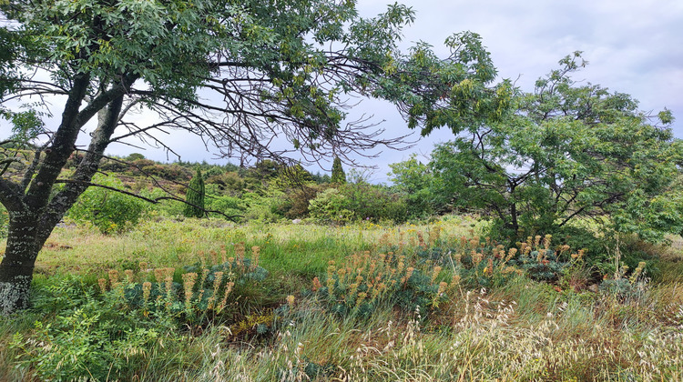 Ma-Cabane - Vente Terrain Félines-Minervois, 1013 m²