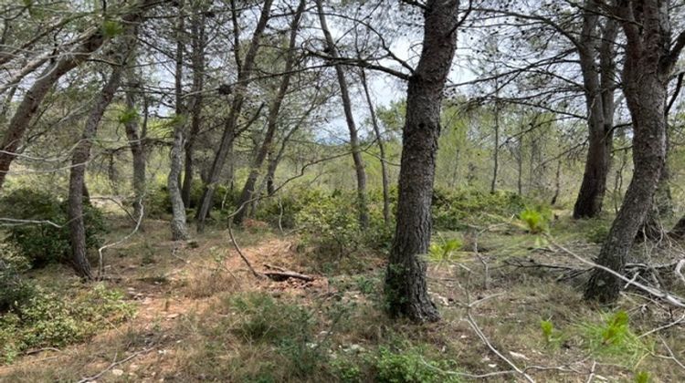 Ma-Cabane - Vente Terrain Félines-Minervois, 9270 m²