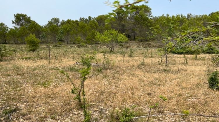 Ma-Cabane - Vente Terrain Félines-Minervois, 9270 m²