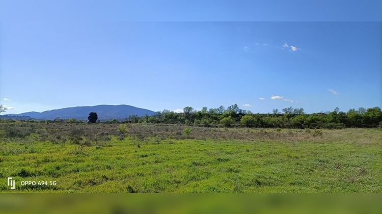 Ma-Cabane - Vente Terrain Ferrals-les-Corbières, 315 m²