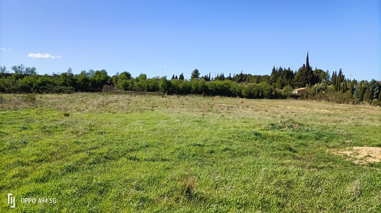 Ma-Cabane - Vente Terrain Ferrals-les-Corbières, 428 m²