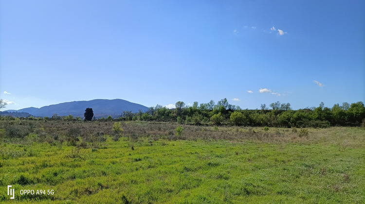 Ma-Cabane - Vente Terrain Ferrals-les-Corbières, 444 m²