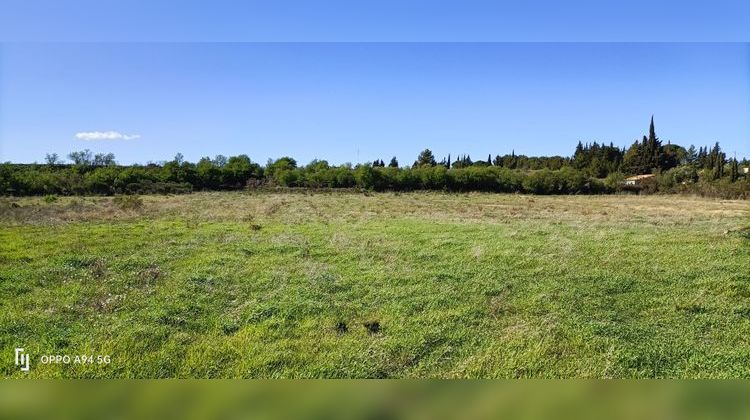 Ma-Cabane - Vente Terrain Ferrals-les-Corbières, 808 m²