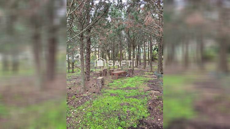 Ma-Cabane - Vente Terrain Ferrals-les-Corbieres, 539 m²