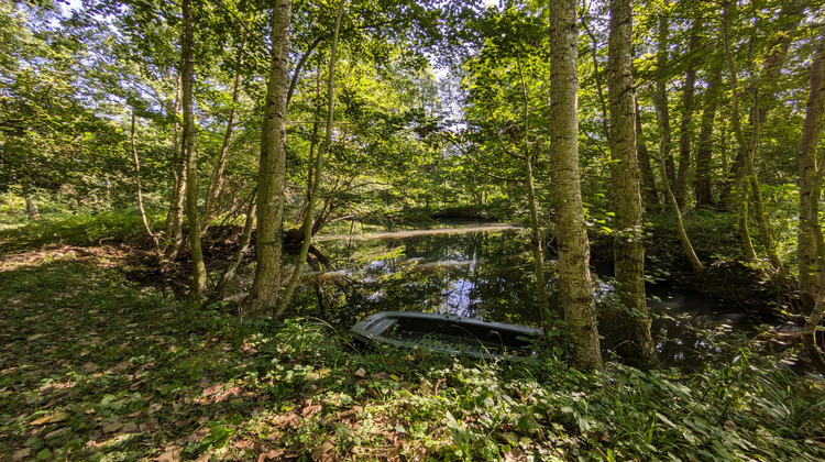 Ma-Cabane - Vente Terrain Ferrières-en-Gâtinais, 3758 m²