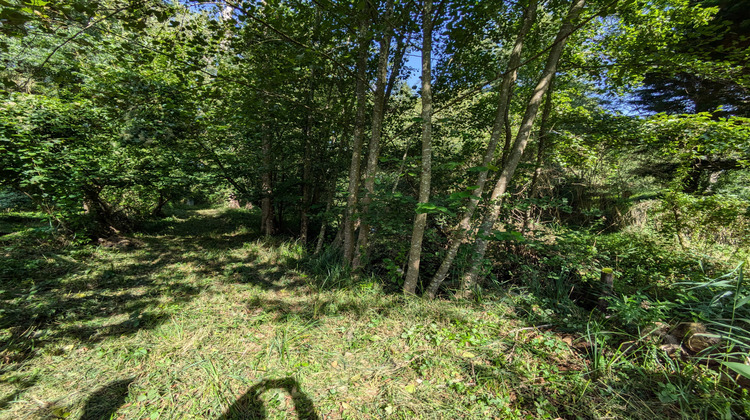 Ma-Cabane - Vente Terrain Ferrières-en-Gâtinais, 3758 m²