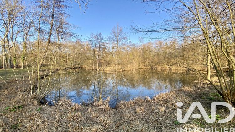 Ma-Cabane - Vente Terrain Ferrières-en-Gâtinais, 5098 m²