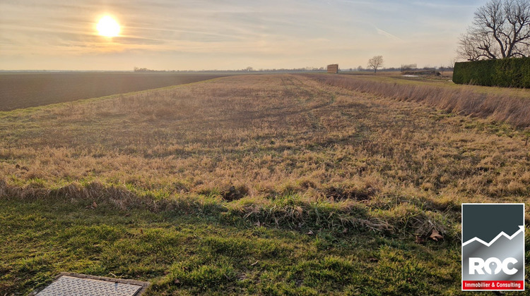 Ma-Cabane - Vente Terrain Fessenheim, 1600 m²
