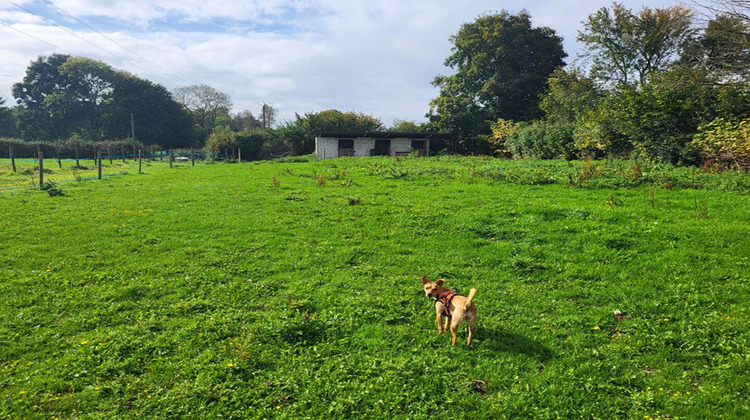 Ma-Cabane - Vente Terrain FIEFS, 0 m²