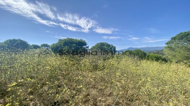 Ma-Cabane - Vente Terrain Figari, 5400 m²