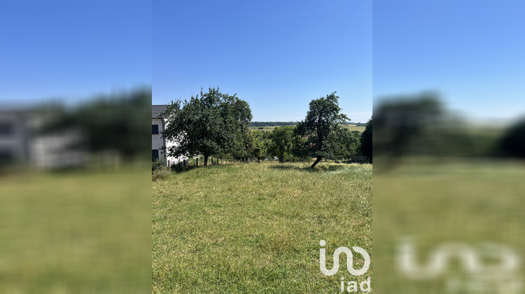 Ma-Cabane - Vente Terrain Filstroff, 608 m²