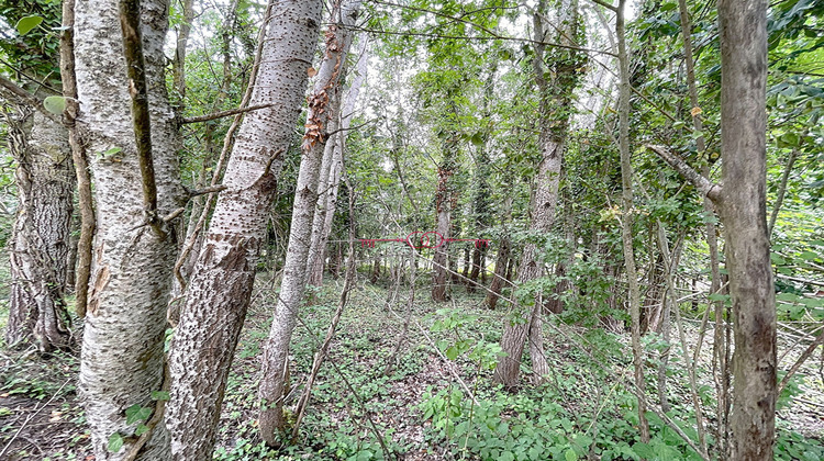 Ma-Cabane - Vente Terrain FISMES, 1870 m²