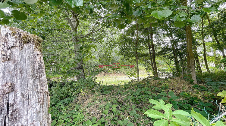 Ma-Cabane - Vente Terrain FISMES, 1870 m²