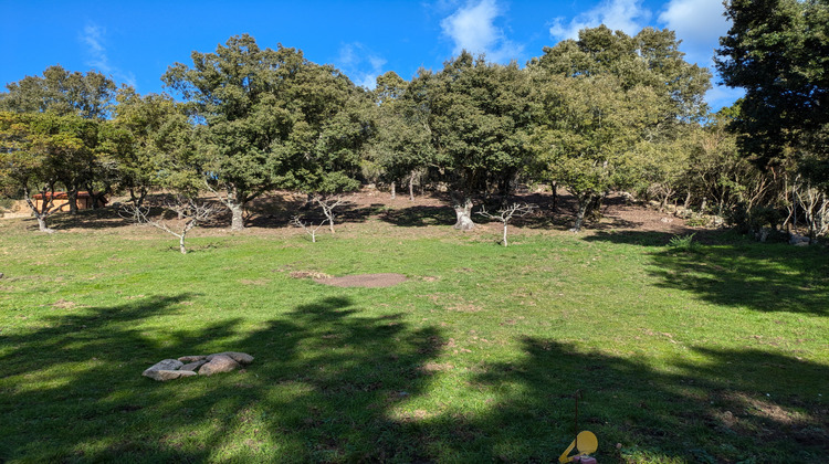 Ma-Cabane - Vente Terrain Foce, 1188 m²