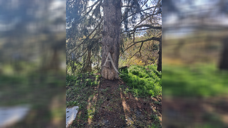 Ma-Cabane - Vente Terrain FONT-ROMEU-ODEILLO-VIA, 1569 m²