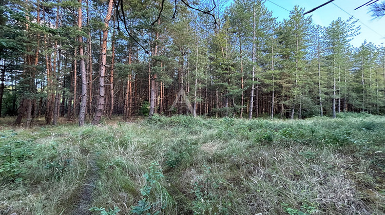 Ma-Cabane - Vente Terrain FONTAINES-EN-SOLOGNE, 58977 m²