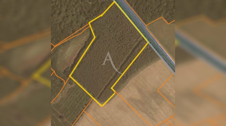 Ma-Cabane - Vente Terrain FONTAINES-EN-SOLOGNE, 58977 m²